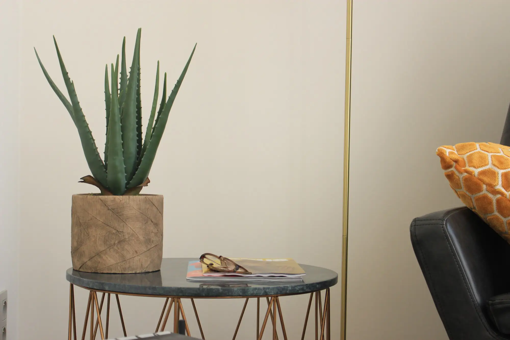 Aloe vera plant on marble side table next to leather chair