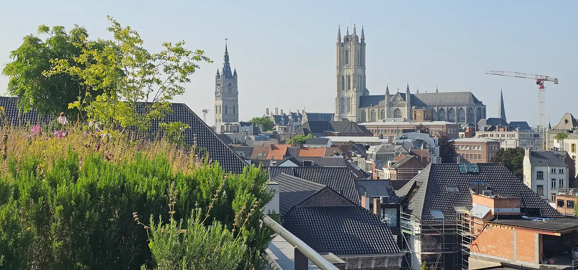 Panoramic skyline view