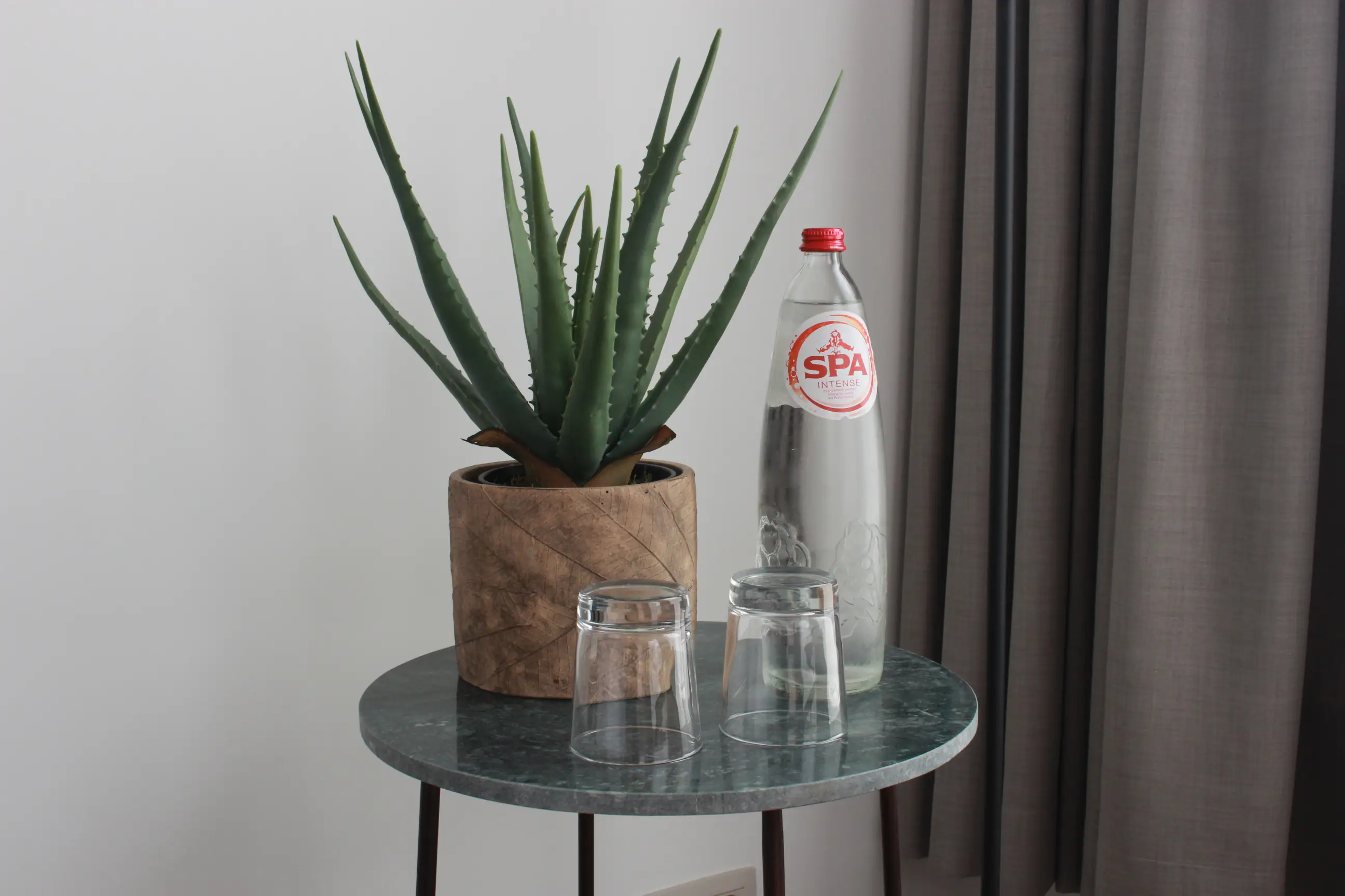 Aloe vera and SPA sparkling water on marble side table