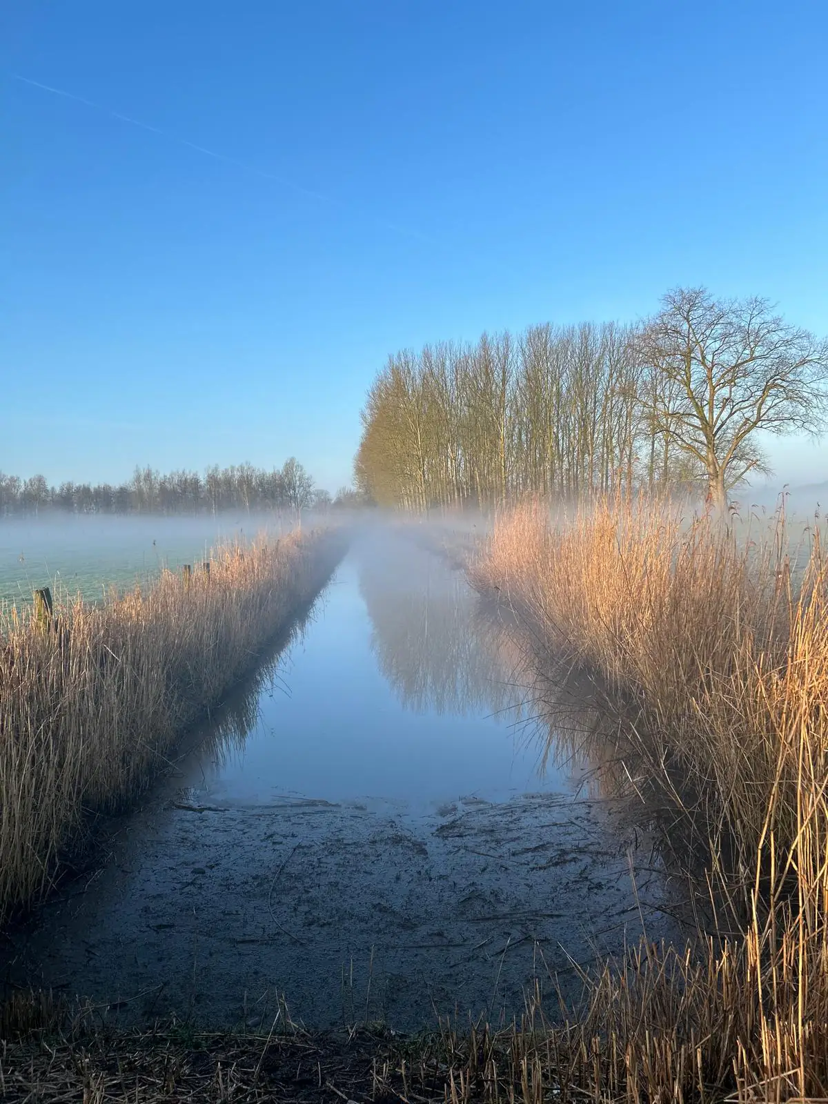 De ideale locatie voor Gent en omstreken