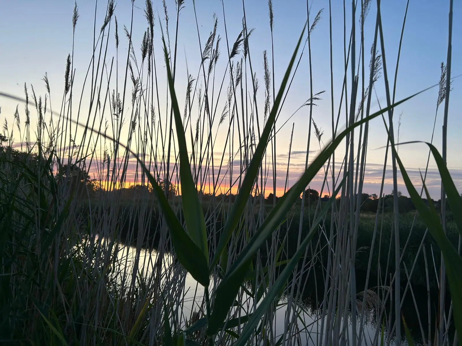 Zonsondergang over het water in de Scheldevallei