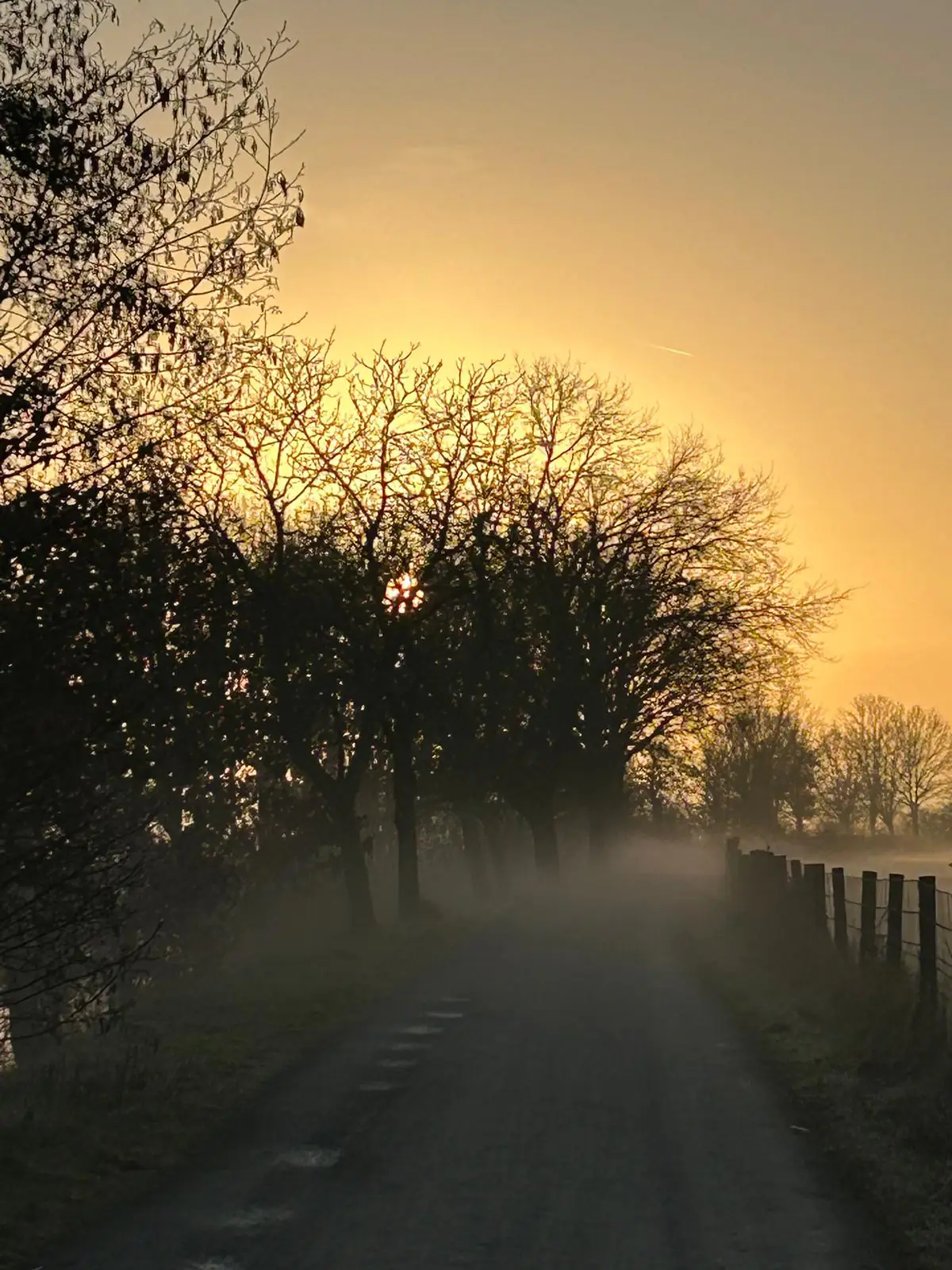 Zonsopgang mistige weg