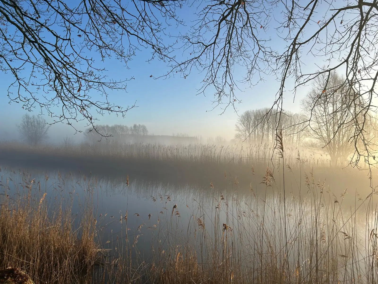 Mistige rivier zonsopgang