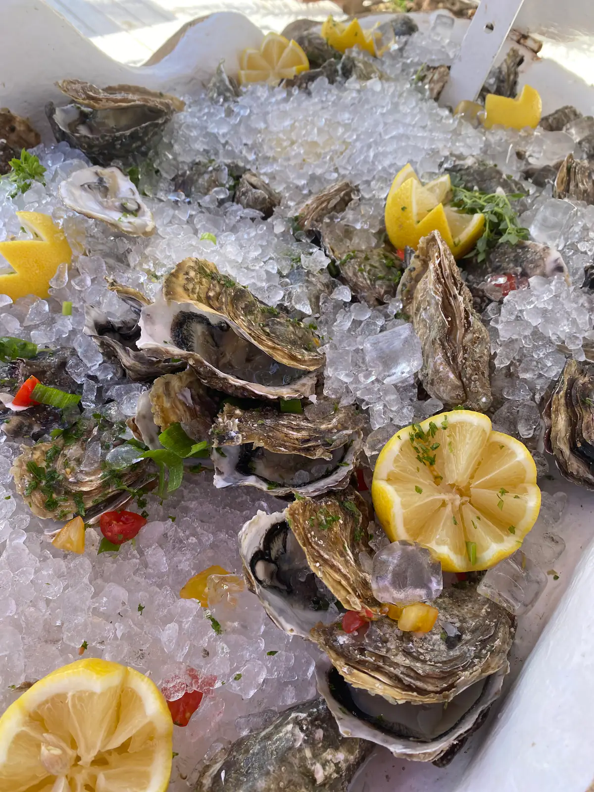 Huîtres fraîches